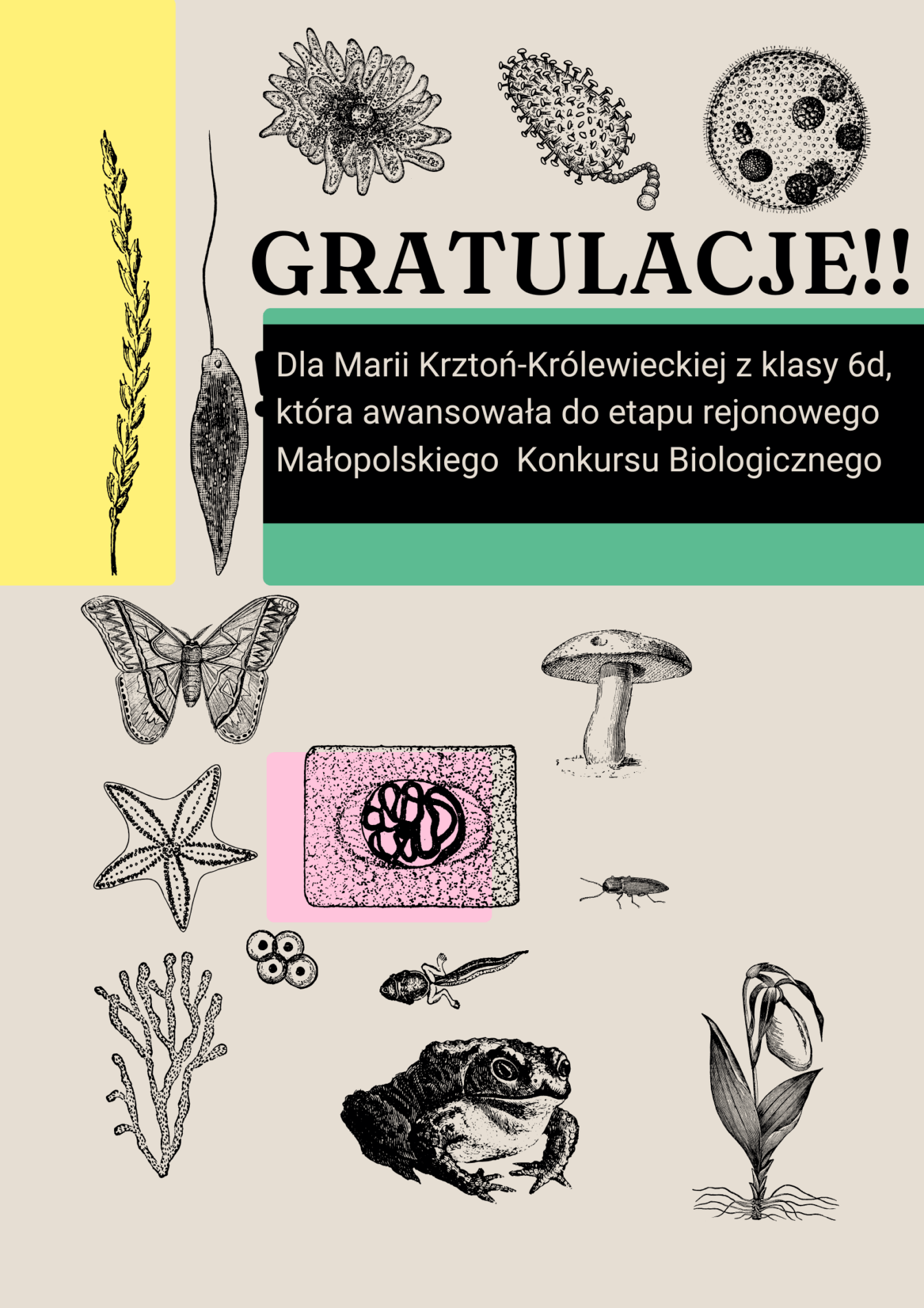 gratulacje!!!
Dla Marii Krztoń-Królewieckiej z klasy 6d, która awansowała do etapu rejonowego Małopolskiego  Konkursu Biologicznego W POSTACI PLAKATU BIOLOGICZNEGO 