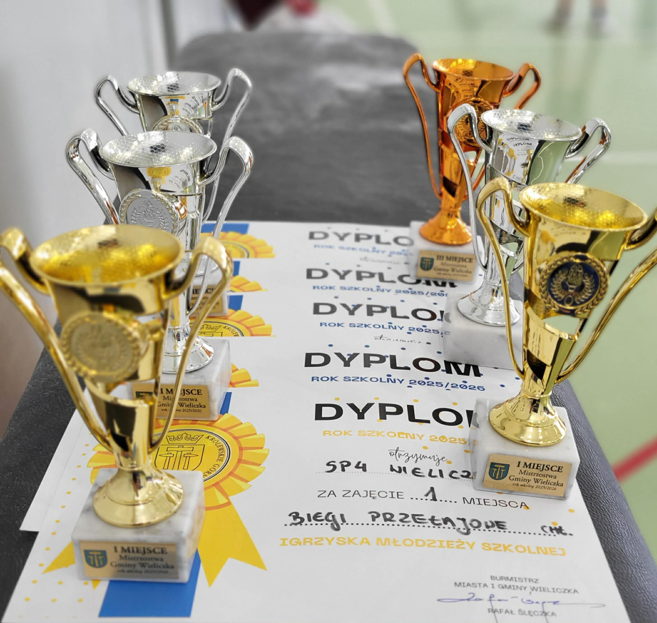 Puchary oraz dyplomy z udział w zawodach sportowych